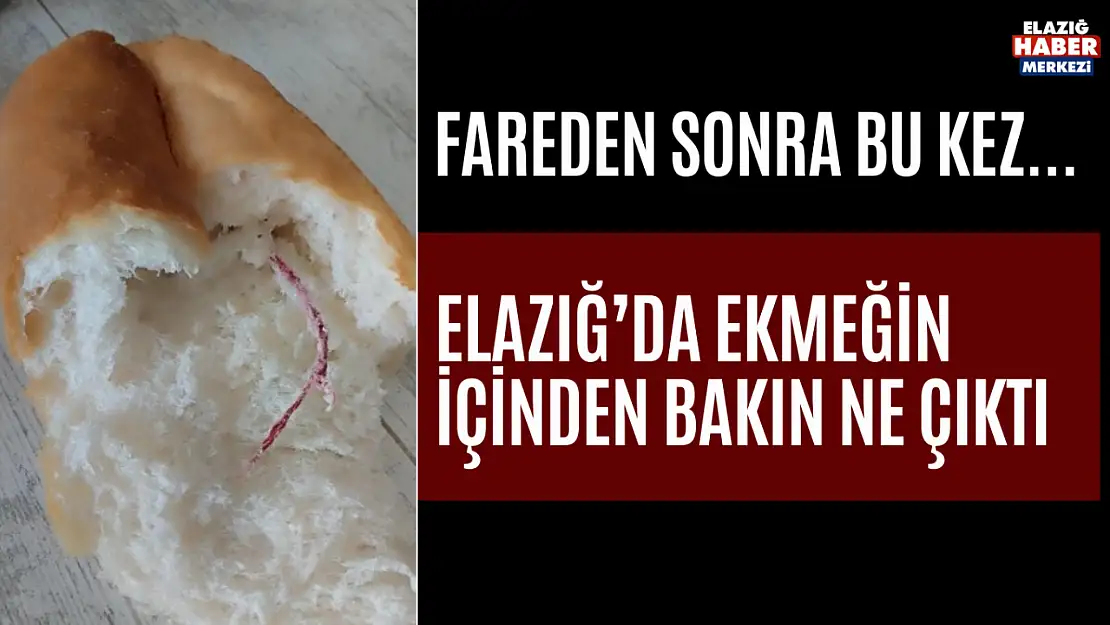Elazığ'da Ekmeğin İçiden Bakın Ne Çıktı