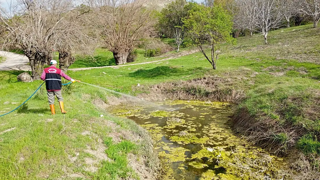 Larva İle Mücadele