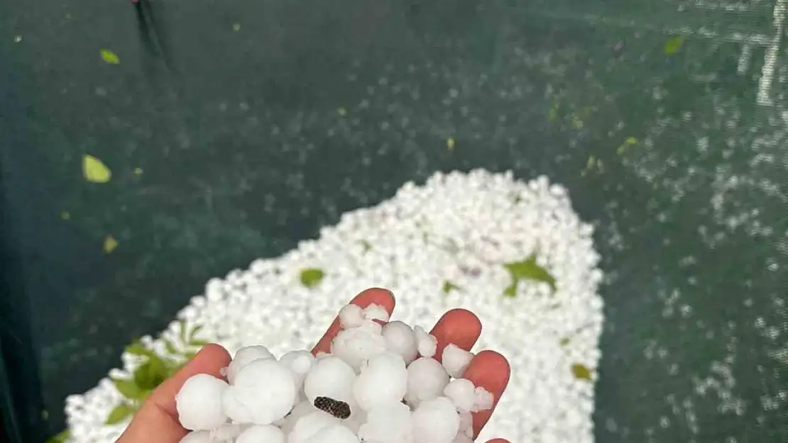 Mevsimler Karıştı Dolu Yağdı!