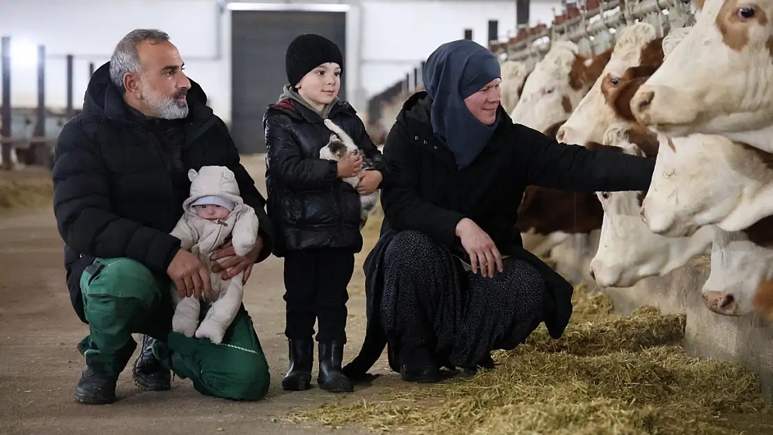 Ülkesine Dönüp Çiftlik Kurdu, 432 Ton Süt Üretiyor