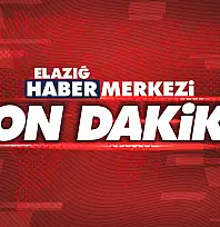 Elazığ Dahil 39 İlde Terör Operasyonu: 361 Şüpheli Yakalandı