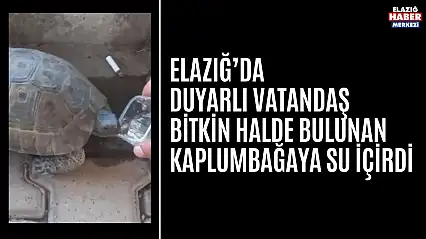 Elazığ'da Duyarlı Vatandaştan Örnek Davranış