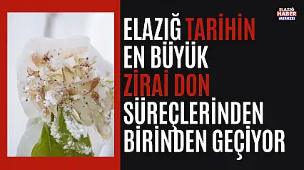 Elazığ Tarihin En Büyük Zirai Don Felaketini Geçiriyor