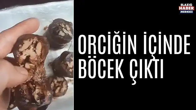 Böcekli Orcik..
