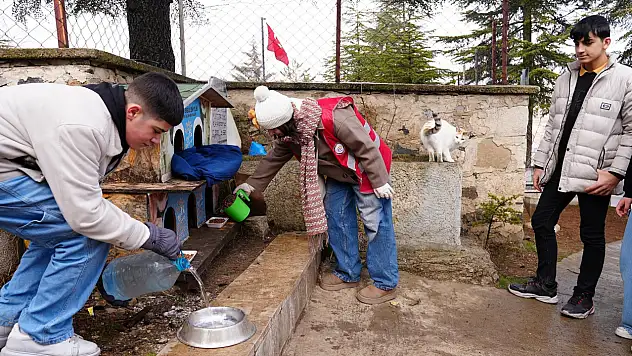 Elazığ Belediyesi Ve Öğrencilerden Can Dostlara Su Ve Mama Desteği