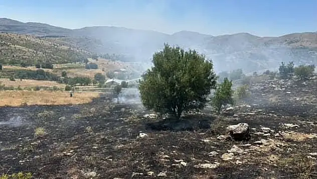 Elazığ'da Çıkan Yangın Söndürüldü