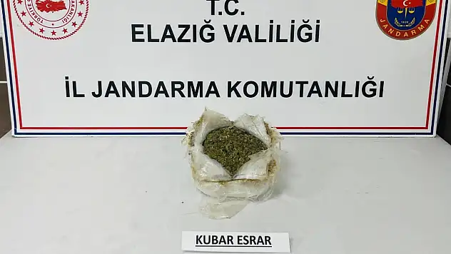 Elazığ'da Uyuşturucu Operasyonu:1 Gözaltı