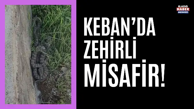Keban'da Korkutan Görüntü