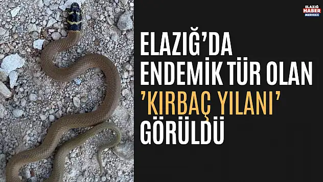 Yılanlar Alemi ELazığ