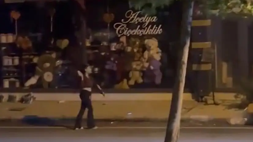 Elazığ'da Kadın, Bir İş Yerine Taşla Saldırdı