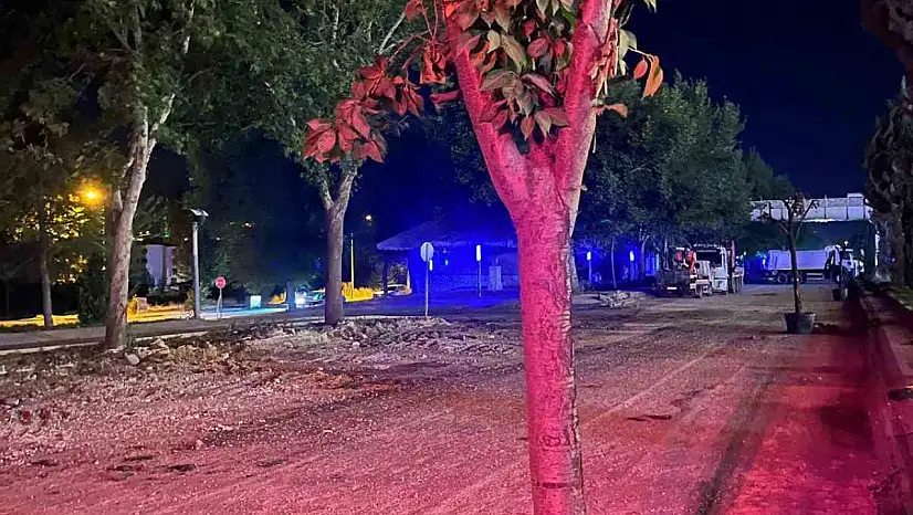 Hazardağlı Kavşağı'ndaki Ağaçlar Taşınarak Koruma Altına Alınıyor